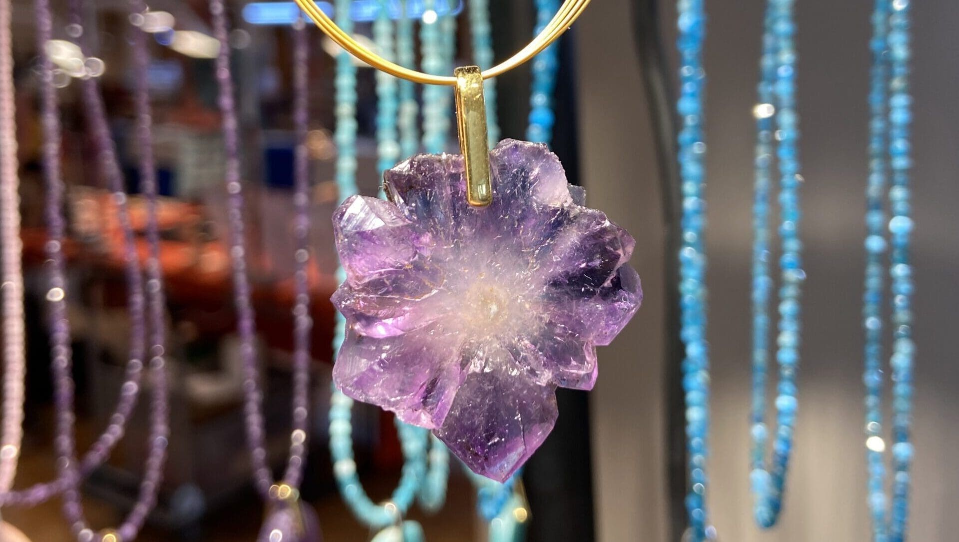 Découvrez nos collections