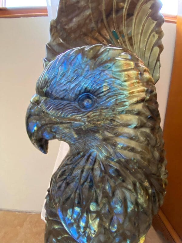 Aigle en Labradorite polie et brute, Totem unique ! 60 kg